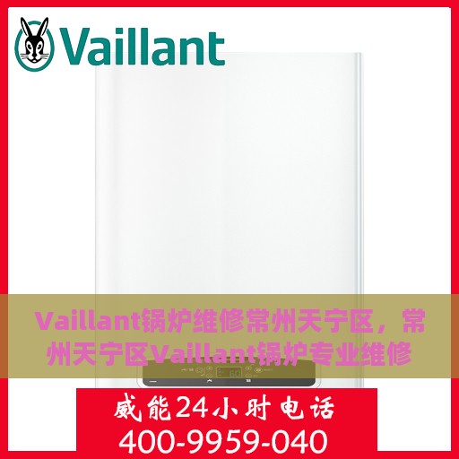 Vaillant锅炉维修常州天宁区，常州天宁区Vaillant锅炉专业维修服务