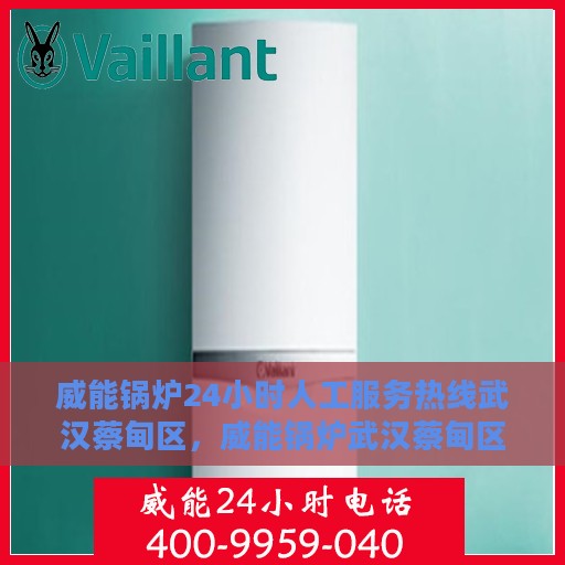 威能锅炉24小时人工服务热线武汉蔡甸区，威能锅炉武汉蔡甸区服务热线，全天候人工支持，专业解答与快速响应