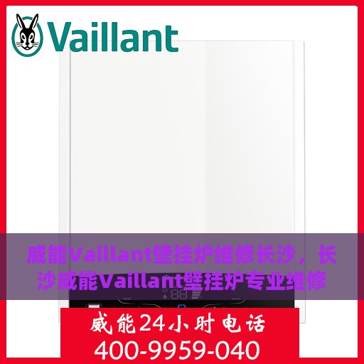 威能Vaillant壁挂炉维修长沙，长沙威能Vaillant壁挂炉专业维修服务