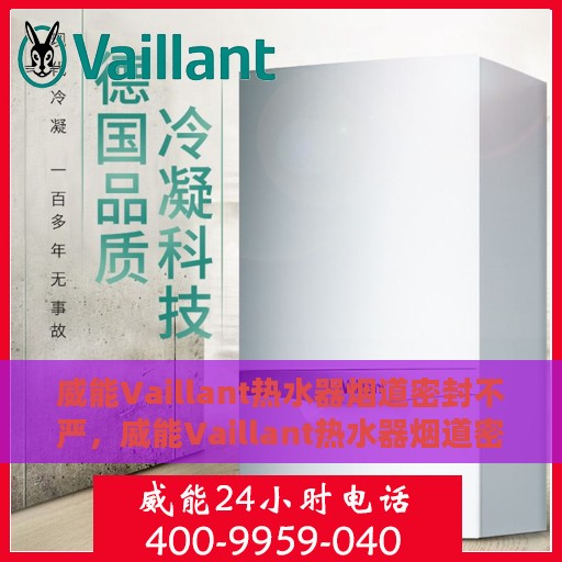 威能Vaillant热水器烟道密封不严，威能Vaillant热水器烟道密封问题需重视，专业解析与解决方案