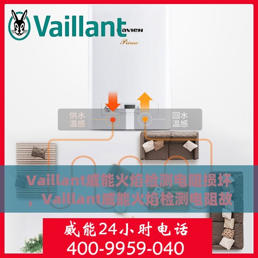 Vaillant威能火焰检测电阻损坏，Vaillant威能火焰检测电阻故障解析与应对之策