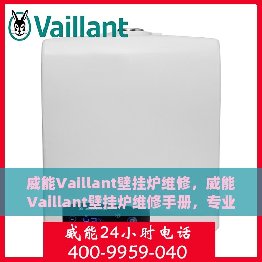 威能Vaillant壁挂炉维修，威能Vaillant壁挂炉维修手册，专业指南与解决方案