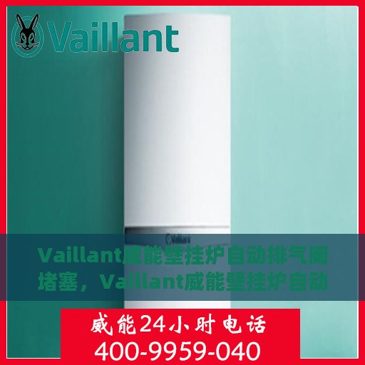 Vaillant威能壁挂炉自动排气阀堵塞，Vaillant威能壁挂炉自动排气阀堵塞问题解析与处理