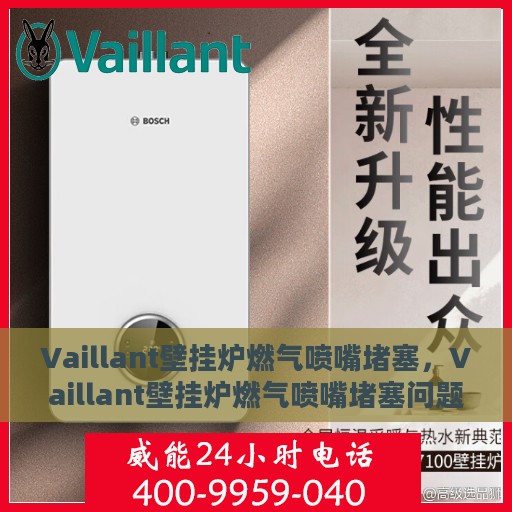 Vaillant壁挂炉燃气喷嘴堵塞，Vaillant壁挂炉燃气喷嘴堵塞问题解析与解决方案