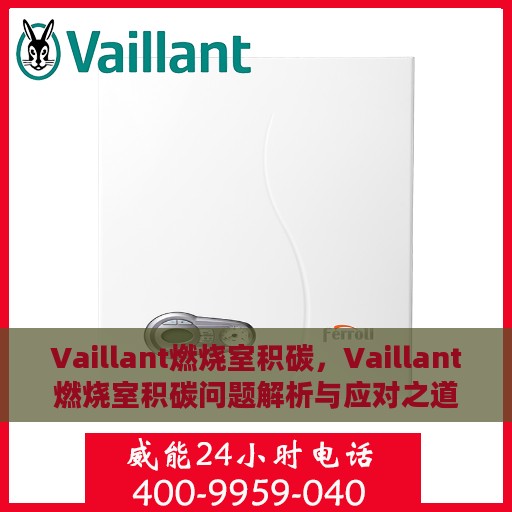 Vaillant燃烧室积碳，Vaillant燃烧室积碳问题解析与应对之道