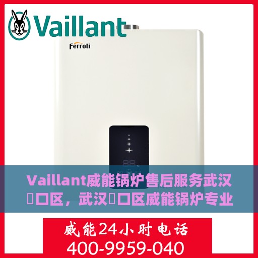 Vaillant威能锅炉售后服务武汉硚口区，武汉硚口区威能锅炉专业售后服务团队