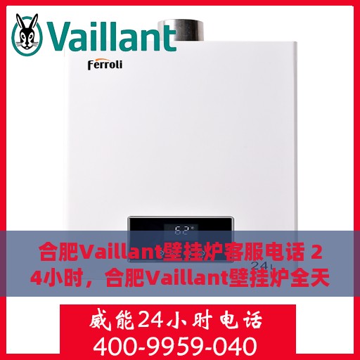 合肥Vaillant壁挂炉客服电话 24小时，合肥Vaillant壁挂炉全天候客服热线，专业解答与快速服务
