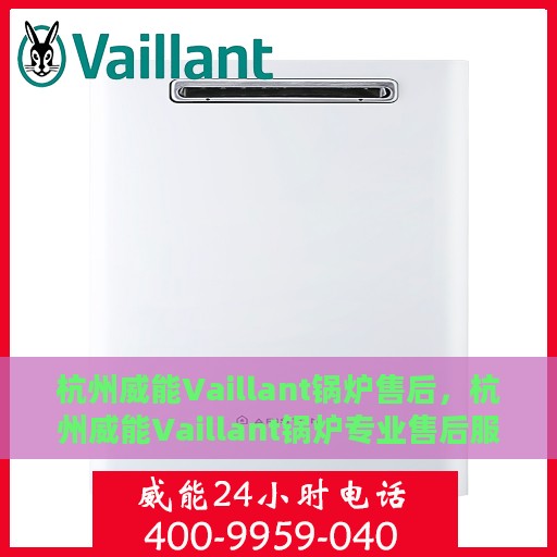 杭州威能Vaillant锅炉售后，杭州威能Vaillant锅炉专业售后服务支持