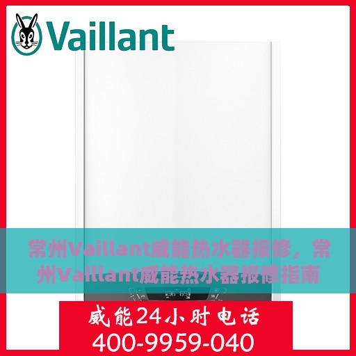 常州Vaillant威能热水器报修，常州Vaillant威能热水器报修指南与解决方案