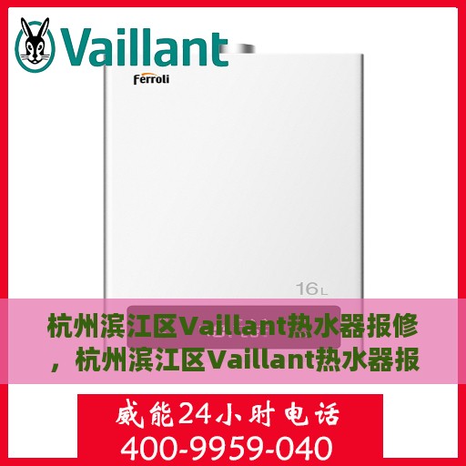 杭州滨江区Vaillant热水器报修，杭州滨江区Vaillant热水器报修指南与解决方案