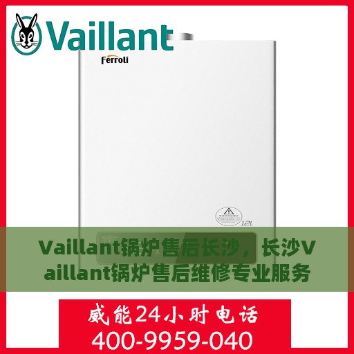 Vaillant锅炉售后长沙，长沙Vaillant锅炉售后维修专业服务