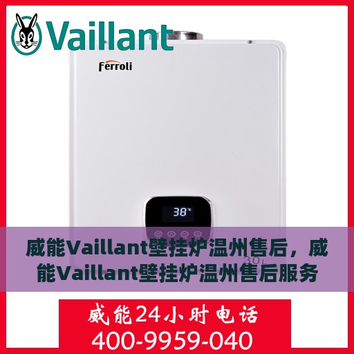 威能Vaillant壁挂炉温州售后，威能Vaillant壁挂炉温州售后服务中心，专业维修与贴心服务