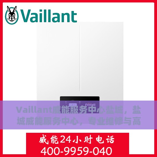 Vaillant威能服务中心盐城，盐城威能服务中心，专业维修与高效服务并行