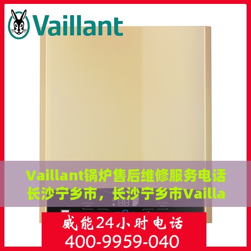 Vaillant锅炉售后维修服务电话长沙宁乡市，长沙宁乡市Vaillant锅炉专业售后维修服务热线