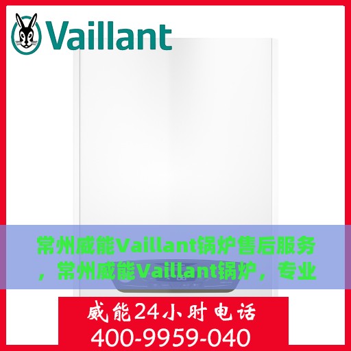 常州威能Vaillant锅炉售后服务，常州威能Vaillant锅炉，专业售后服务团队，贴心保障您的温暖生活