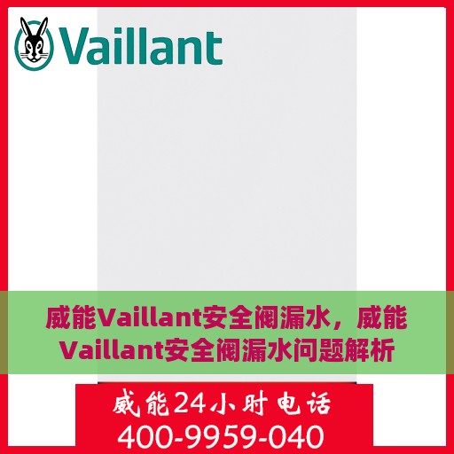 威能Vaillant安全阀漏水，威能Vaillant安全阀漏水问题解析