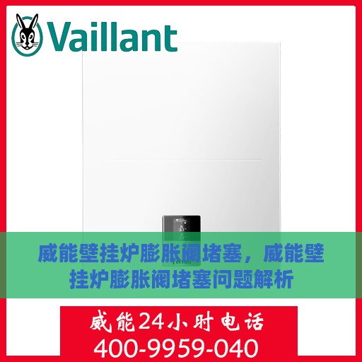 威能壁挂炉膨胀阀堵塞，威能壁挂炉膨胀阀堵塞问题解析