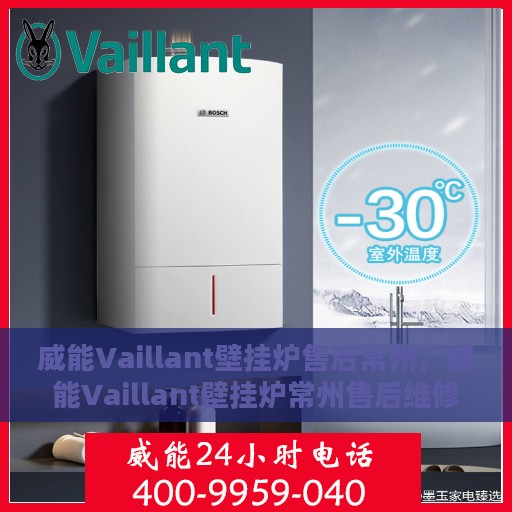 威能Vaillant壁挂炉售后常州，威能Vaillant壁挂炉常州售后维修服务解析