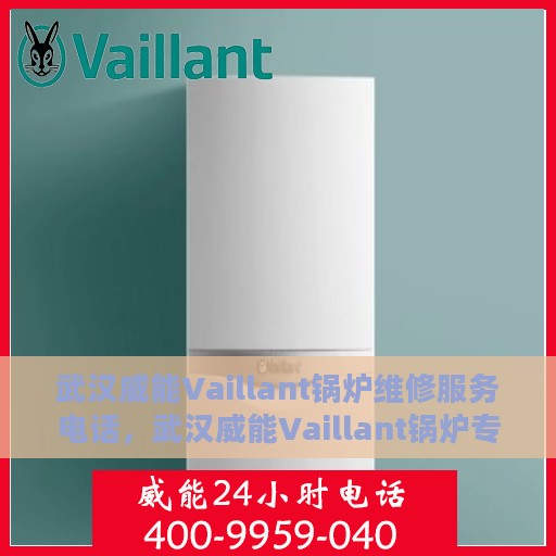 武汉威能Vaillant锅炉维修服务电话，武汉威能Vaillant锅炉专业维修服务热线