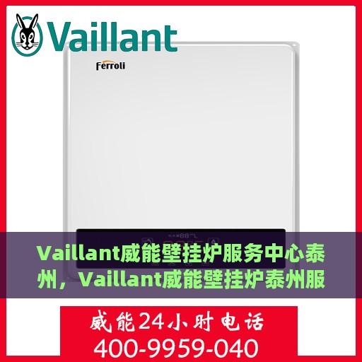 Vaillant威能壁挂炉服务中心泰州，Vaillant威能壁挂炉泰州服务中心，专业维修与保养，温暖您的家