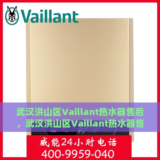 武汉洪山区Vaillant热水器售后，武汉洪山区Vaillant热水器售后服务全解析