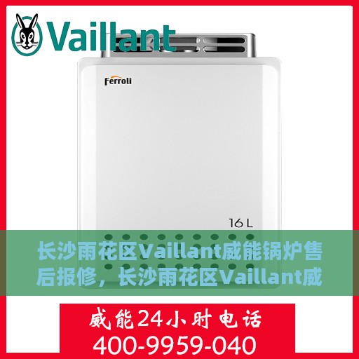 长沙雨花区Vaillant威能锅炉售后报修，长沙雨花区Vaillant威能锅炉售后报修服务指南