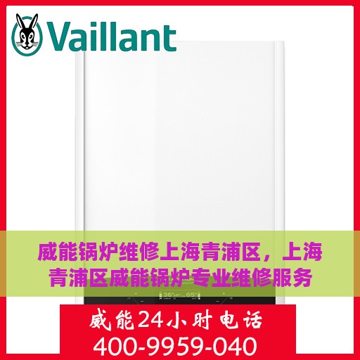 威能锅炉维修上海青浦区，上海青浦区威能锅炉专业维修服务