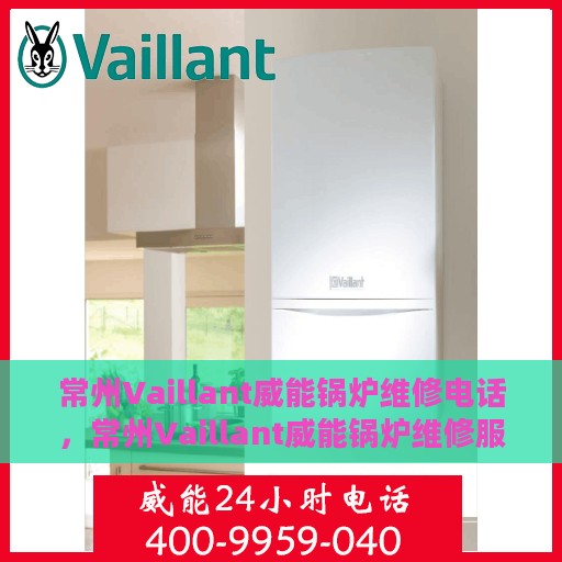 常州Vaillant威能锅炉维修电话，常州Vaillant威能锅炉维修服务热线