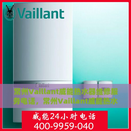 常州Vaillant威能热水器维修服务电话，常州Vaillant威能热水器维修热线及专业服务团队