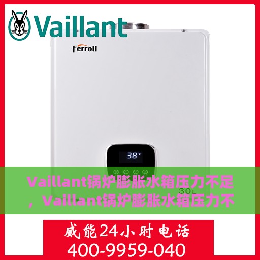 Vaillant锅炉膨胀水箱压力不足，Vaillant锅炉膨胀水箱压力不足问题及解决方案探讨