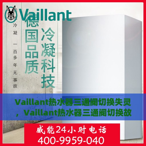 Vaillant热水器三通阀切换失灵，Vaillant热水器三通阀切换故障解析，失灵原因与解决方案
