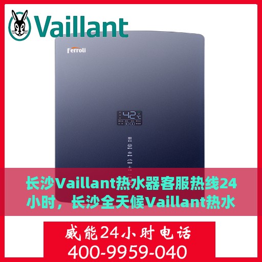 长沙Vaillant热水器客服热线24小时，长沙全天候Vaillant热水器客服热线，专业服务，温暖不停歇