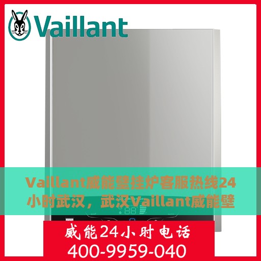 Vaillant威能壁挂炉客服热线24小时武汉，武汉Vaillant威能壁挂炉全天候客服热线，专业解答与售后无忧