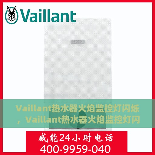 Vaillant热水器火焰监控灯闪烁，Vaillant热水器火焰监控灯闪烁，原因解析与应对之策