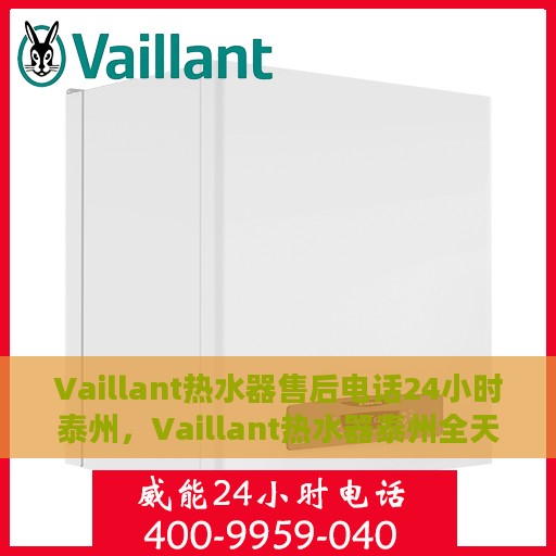 Vaillant热水器售后电话24小时泰州，Vaillant热水器泰州全天候售后热线，专业维修服务保障无忧！