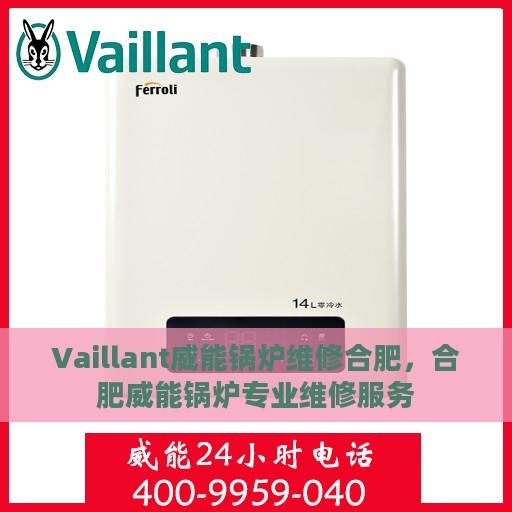 Vaillant威能锅炉维修合肥，合肥威能锅炉专业维修服务