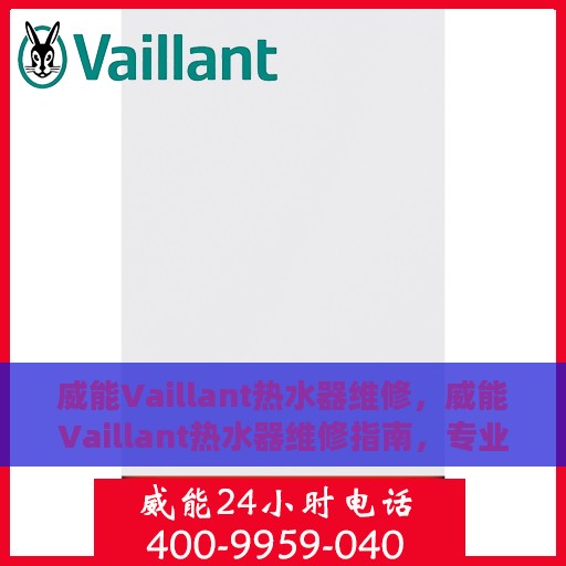 威能Vaillant热水器维修，威能Vaillant热水器维修指南，专业解决故障，保障温暖洗浴体验