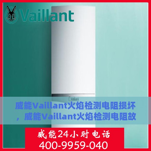 威能Vaillant火焰检测电阻损坏，威能Vaillant火焰检测电阻故障解析与修复指南