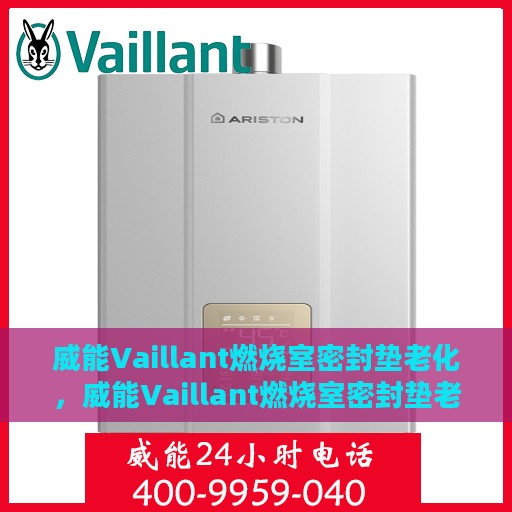 威能Vaillant燃烧室密封垫老化，威能Vaillant燃烧室密封垫老化问题解析与应对方案