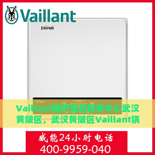 Vaillant锅炉售后服务中心武汉黄陂区，武汉黄陂区Vaillant锅炉售后服务中心，专业维修与贴心服务