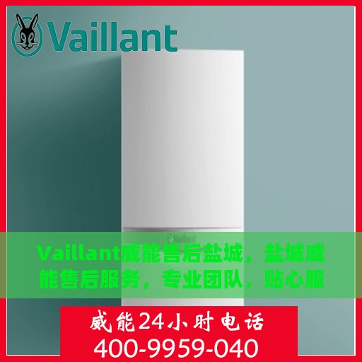 Vaillant威能售后盐城，盐城威能售后服务，专业团队，贴心服务