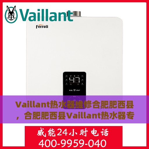 Vaillant热水器维修合肥肥西县，合肥肥西县Vaillant热水器专业维修服务
