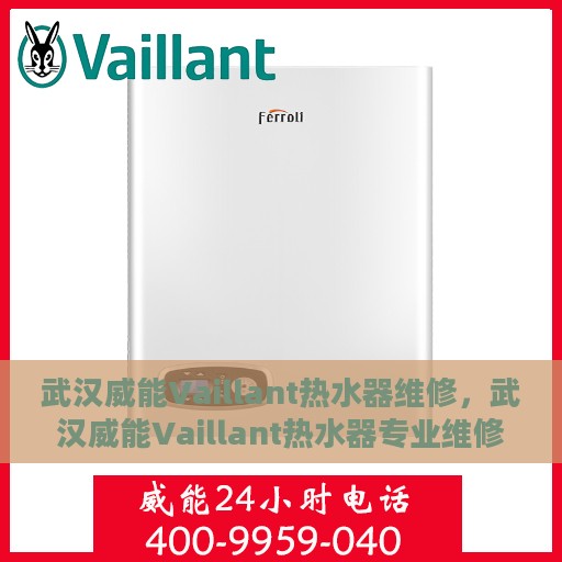武汉威能Vaillant热水器维修，武汉威能Vaillant热水器专业维修服务