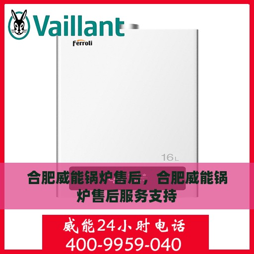合肥威能锅炉售后，合肥威能锅炉售后服务支持