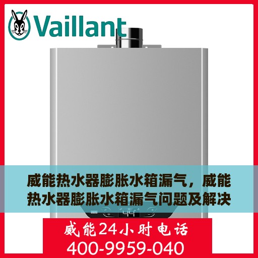 威能热水器膨胀水箱漏气，威能热水器膨胀水箱漏气问题及解决方案探讨