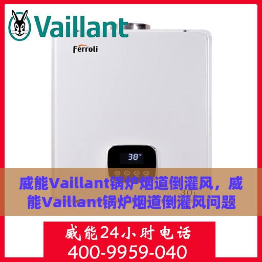 威能Vaillant锅炉烟道倒灌风，威能Vaillant锅炉烟道倒灌风问题及应对之策