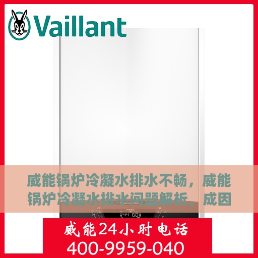 威能锅炉冷凝水排水不畅，威能锅炉冷凝水排水问题解析，成因与解决方案