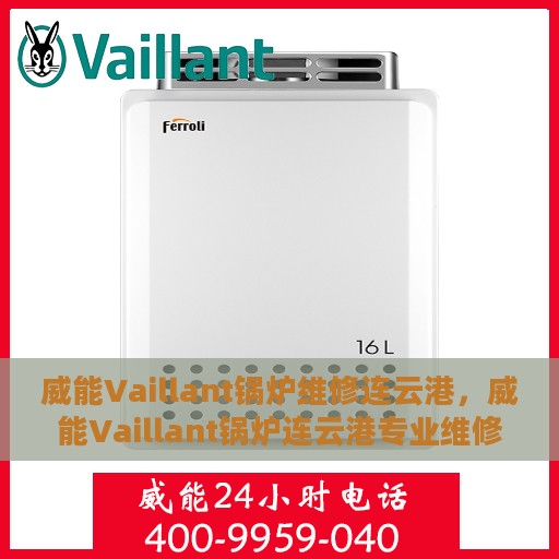 威能Vaillant锅炉维修连云港，威能Vaillant锅炉连云港专业维修服务