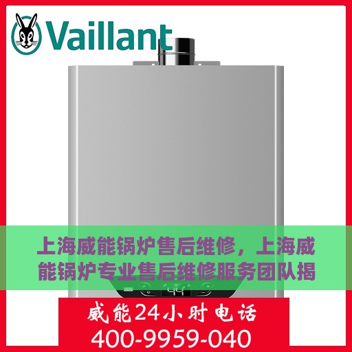 上海威能锅炉售后维修，上海威能锅炉专业售后维修服务团队揭秘