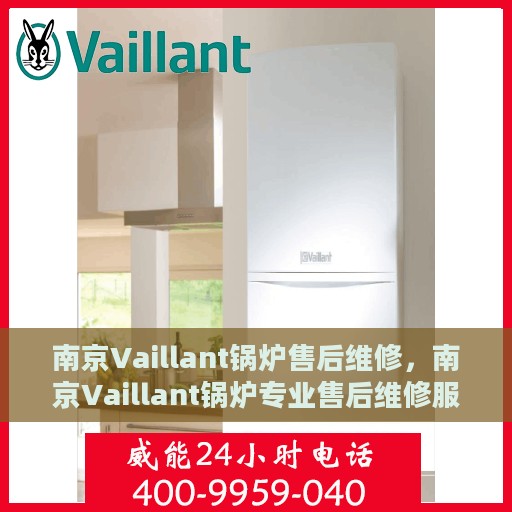 南京Vaillant锅炉售后维修，南京Vaillant锅炉专业售后维修服务